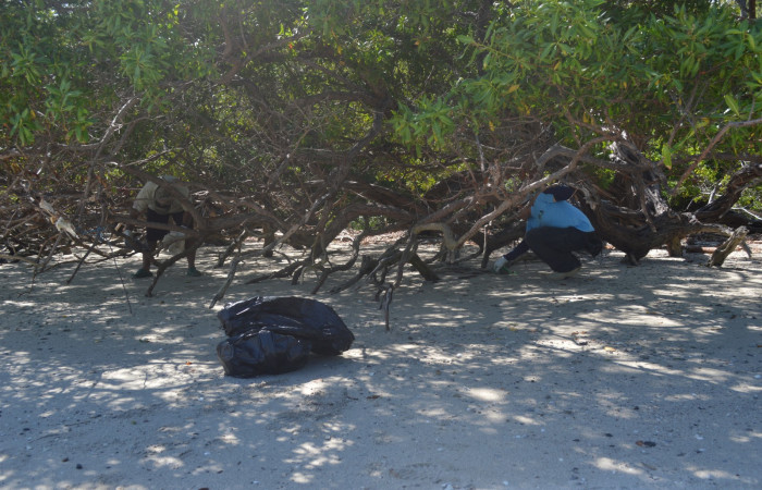 14 diciembre 2019  Foto: Olger Vega