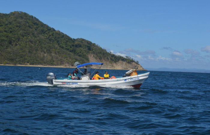 14 diciembre 2019  Foto: Olger Vega