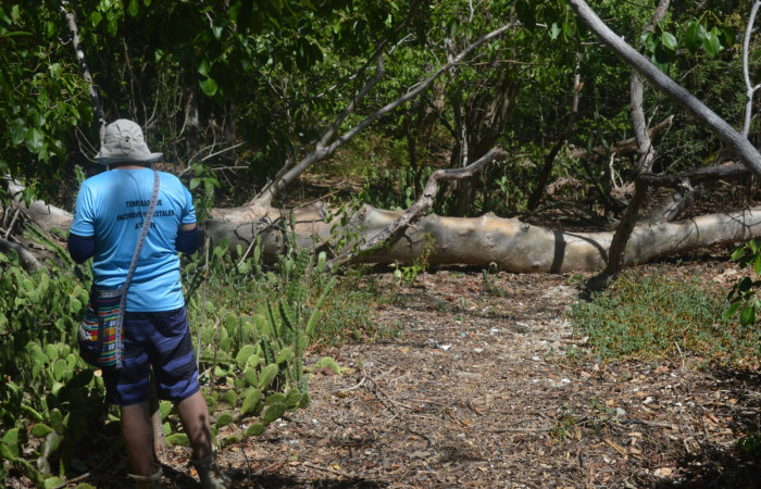 14 diciembre 2019  Foto: Olger Vega