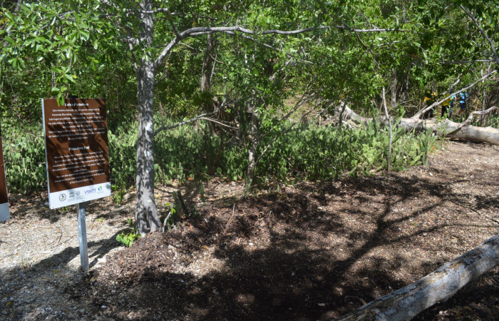 14 diciembre 2019  Foto: Olger Vega