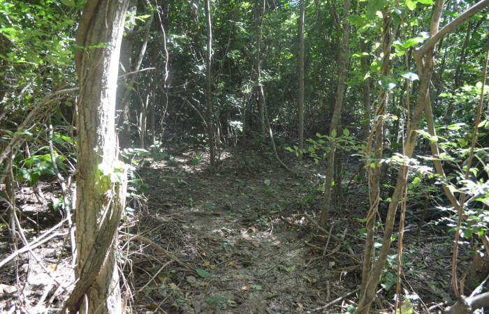 14 diciembre 2019  Foto: Olger Vega