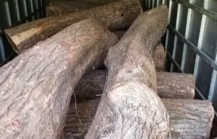 Barrio Jesús de Cañas Guanacaste  29 de diciembre 2019  Fotos: ACAT - ACG