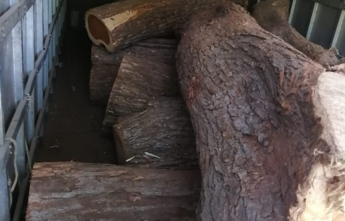 Barrio Jesús de Cañas Guanacaste  29 de diciembre 2019  Fotos: ACAT - ACG