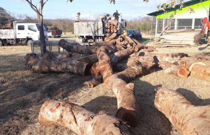 29, 30 de enero 2020  Foto: ACAT -ACG  Las Juntas de Abangares y Chomes de Puntarenas