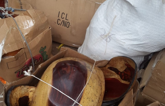 29, 30 de enero 2020  Foto: ACAT -ACG  Las Juntas de Abangares y Chomes de Puntarenas