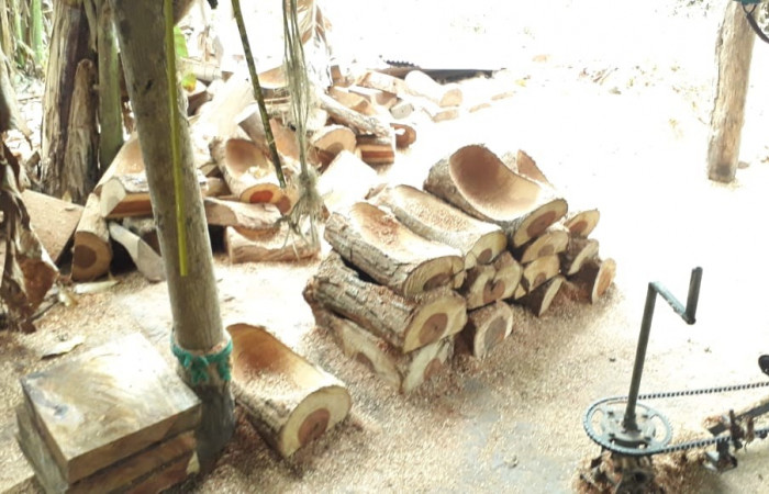 29 de enero 2020  Foto: ACAT 