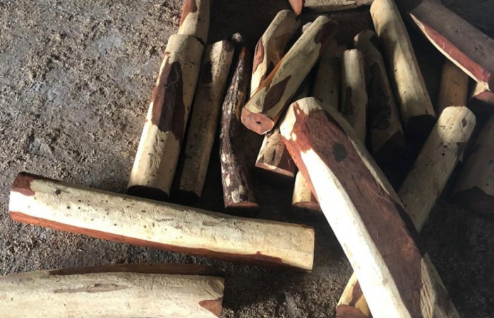 29, 30 de enero 2020  Foto: ACAT -ACG  Las Juntas de Abangares y Chomes de Puntarenas