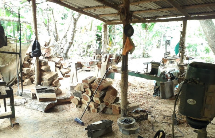 29 de enero 2020  Foto: ACAT 