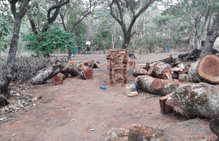 29 de enero 2020  Foto: ACAT 