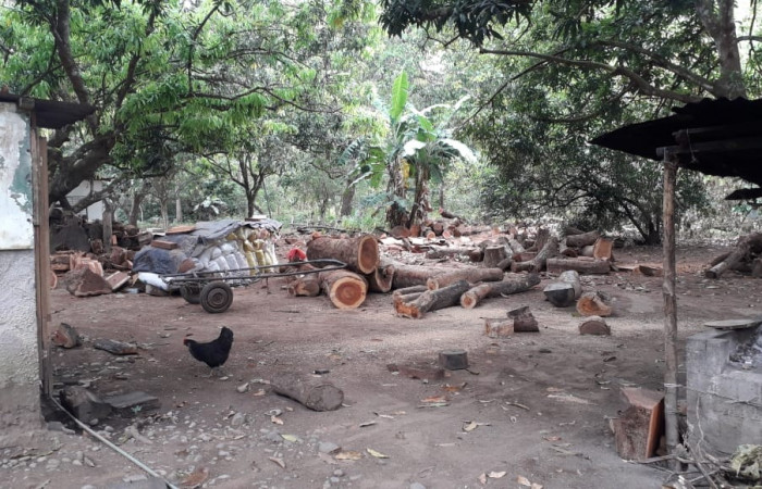 29 de enero 2020  Foto: ACAT 