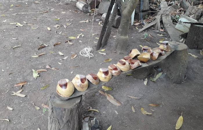 29, 30 de enero 2020  Foto: ACAT -ACG  Las Juntas de Abangares y Chomes de Puntarenas