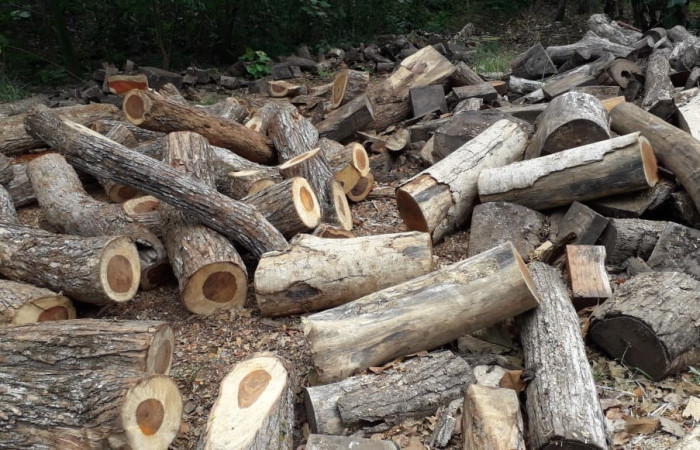 29, 30 de enero 2020  Foto: ACAT -ACG  Las Juntas de Abangares y Chomes de Puntarenas