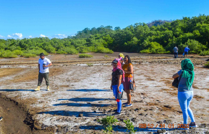 31 de enero 2020  Foto: Olger Vega