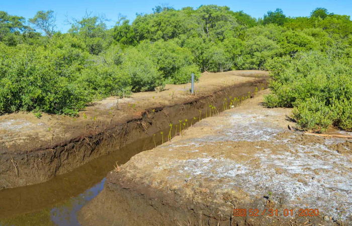 31 de enero 2020  Foto: Olger Vega