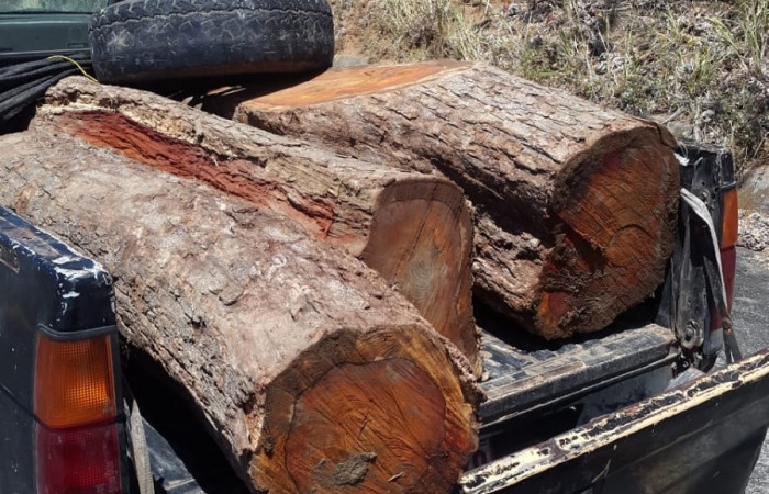 Bello Horizonte de Puerto Soley La Cruz Guanacaste  15 de febrero 2020  Foto: rigada de Control, Seguimiento y Aprovechamiento Forestal (BCAF.PSA)