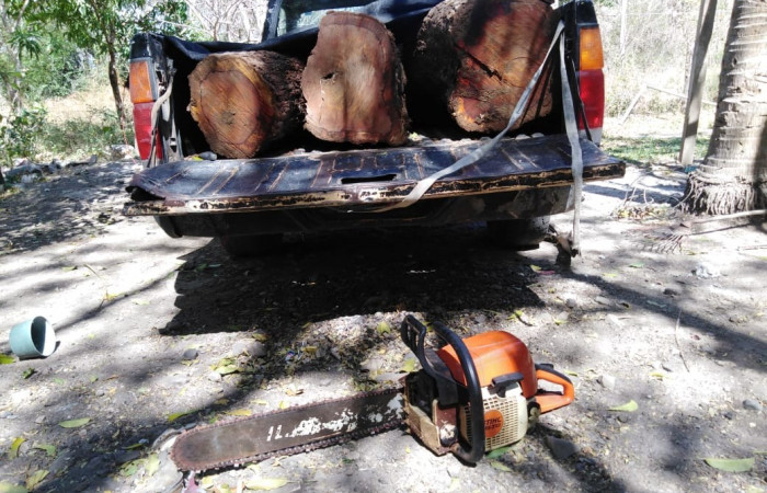 Bello Horizonte de Puerto Soley La Cruz Guanacaste  15 de febrero 2020  Foto: rigada de Control, Seguimiento y Aprovechamiento Forestal (BCAF.PSA)