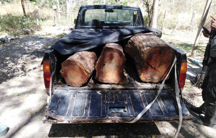 Bello Horizonte de Puerto Soley La Cruz Guanacaste  15 de febrero 2020  Foto: rigada de Control, Seguimiento y Aprovechamiento Forestal (BCAF.PSA)