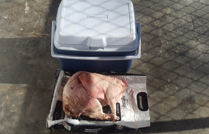 Los Ángeles de Quebrada Grande de Liberia  Domingo 16 febrero 2020  Foto: Brigada de Control, Seguimiento y Aprovechamiento Forestal (BCAF.PSA)