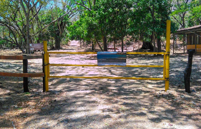 Marzo 2019, Fotografía: Josué Sandoval