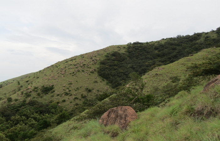 Volcán Rincón de la Vieja el 26 de junio del 2017, Fotografía: Christian Zúñiga Gutiérrez