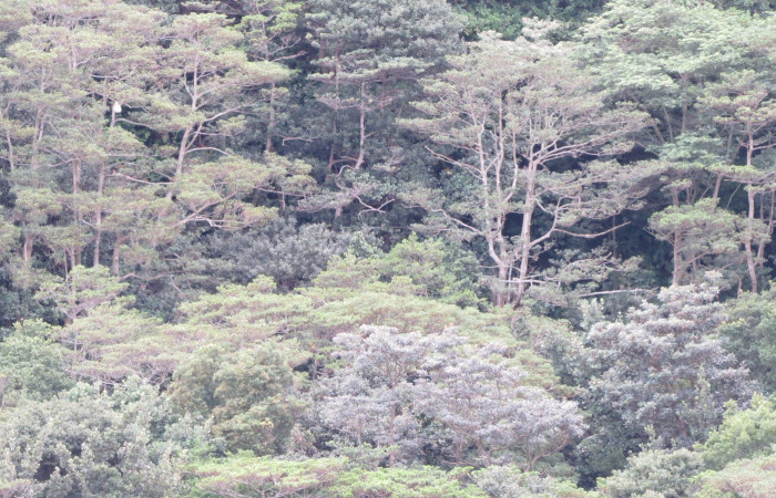 Volcán Rincón de la Vieja el 26 de junio del 2017, Fotografía: Christian Zúñiga Gutiérrez