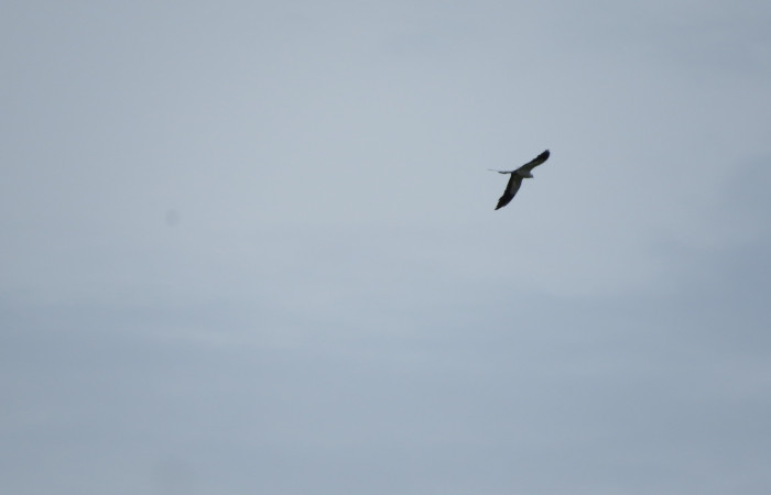 Ascenso a cráter 2, Volcán Rincón de la Vieja el 26 de junio del 2017, Fotografía: Christian Zúñiga Gutiérrez