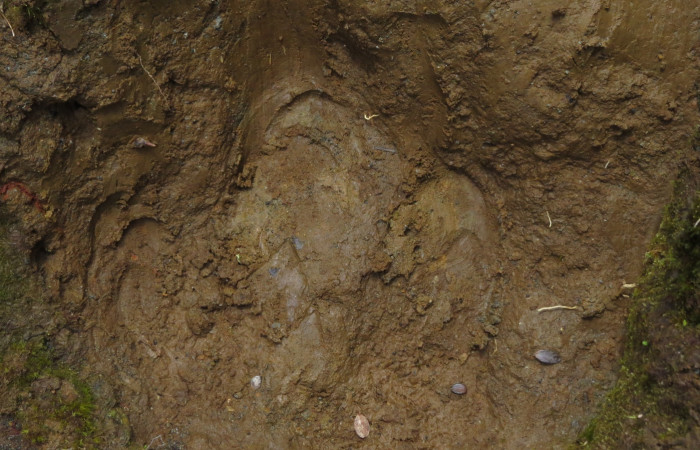 Ascenso a cráter 2, Volcán Rincón de la Vieja el 26 de junio del 2017, Fotografía: Christian Zúñiga Gutiérrez