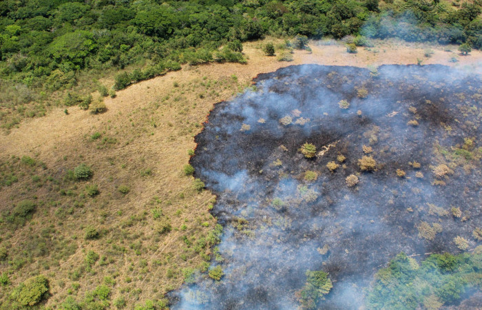 Abril 2020  Foto: Programa Manejo del Fuego
