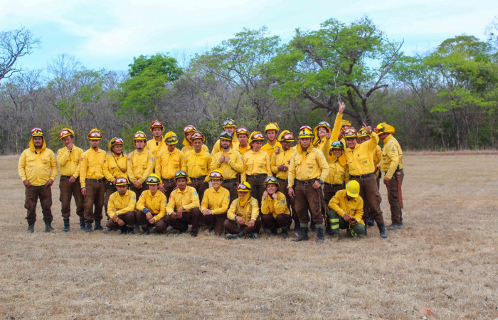 Sector Pocosol  Abril 2020  Foto: Programa Manejo del Fuego