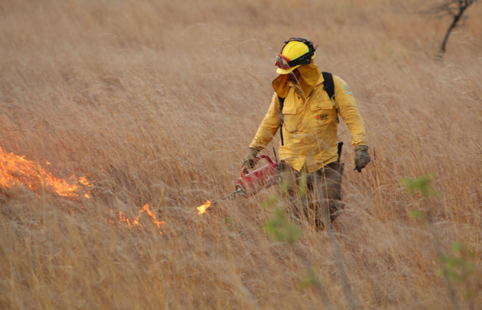 Sector Santa Rosa  Abril 2020  Foto: Programa Manejo del Fuego