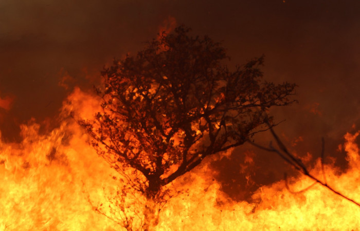 Sector Santa Rosa  Abril 2020  Foto: Programa Manejo del Fuego