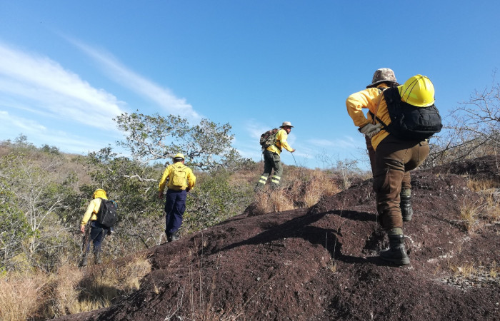 Parque Nacional Guanacaste  Abril 2020  Foto: Melissa Espinoza