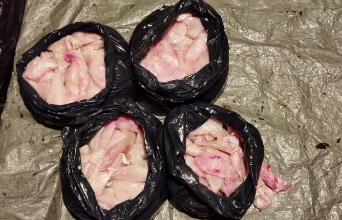 Sector Marino ACG  8 de julio 2020  Foto:  Brigada de Control Marino Costero