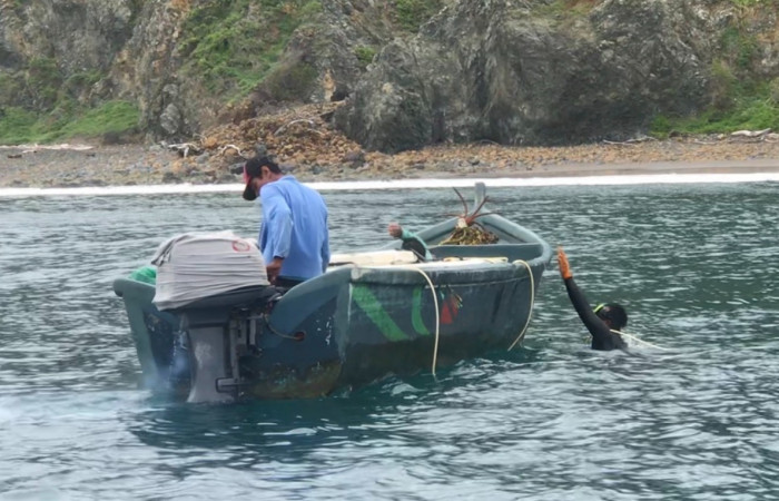 Sector Marino ACG  8 de julio 2020  Foto:  Brigada de Control Marino Costero