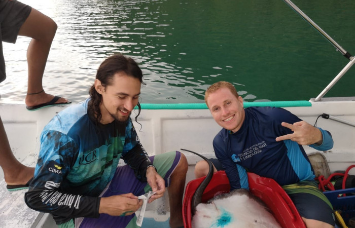 Proyecto monitoreo de rayas y tiburones en Bahía Santa Elena, 7 setiembre 2018, Fotografía: Daniela Masís