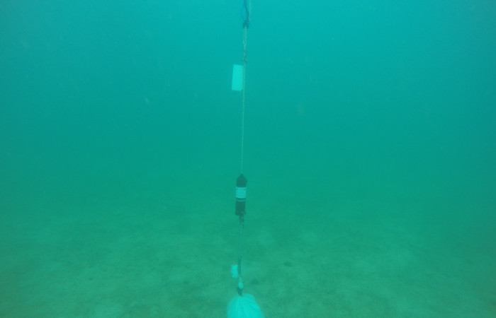 Proyecto monitoreo de rayas y tiburones en Bahía Santa Elena, 25 de mayo 2018, Fotografía: Mario Espinoza