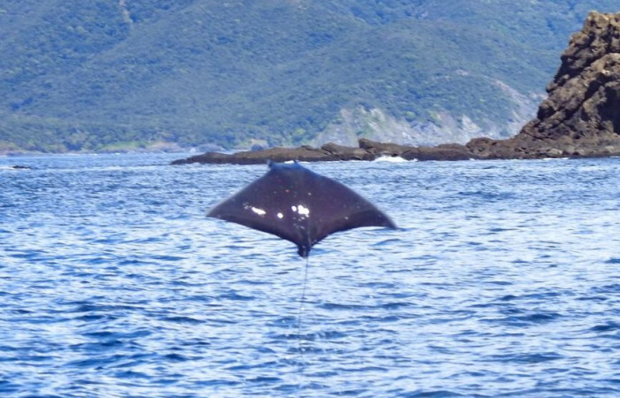 Islas Murciélago, 19 de octubre 2020, Foto, Cristhian Zúñiga