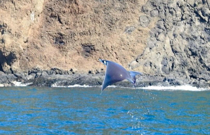 Islas Murciélago, 19 de octubre 2020, Foto, Cristhian Zúñiga