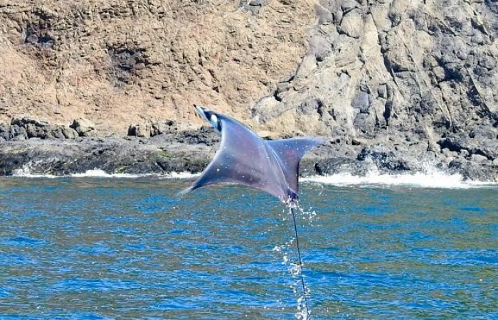 Islas Murciélago, 19 de octubre 2020, Foto, Cristhian Zúñiga