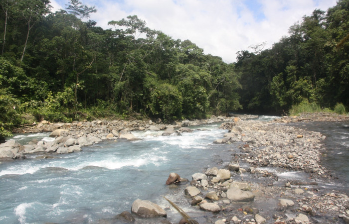 Figura 1. Rio Penjamo, Sector Caribe, Area de Conservación Guanacaste.