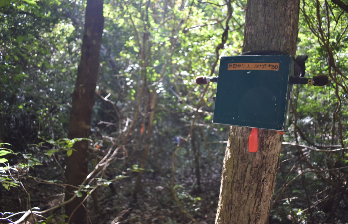 Cámara trampa para registrar vida silvestre en un bosque maduro en el Sector Santa Rosa Foto: K. Owen