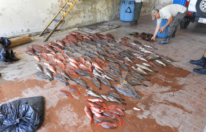 10 de Marzo 2018, Sector Marino del Sector Santa Rosa (Parque Nacional Santa Rosa), Fotografía: Programa Prevención Protección y Control de ACG