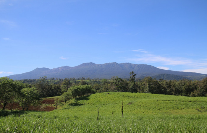 Figura.1 Habitad <i>cruziohyla sylviae</i>, (Phyllomedusidae). Area de Conservación Guanacaste, Sector Rincón Rain Forest. Estación Leiva, (elevación 455 metros), observada el 28 de julio 2020. Foto. Jorge Hernández.