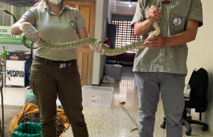 (PMCVS)  25 de abril 2021  Oficina Subregional Liberia, Guanacaste  Foto: PMCVS