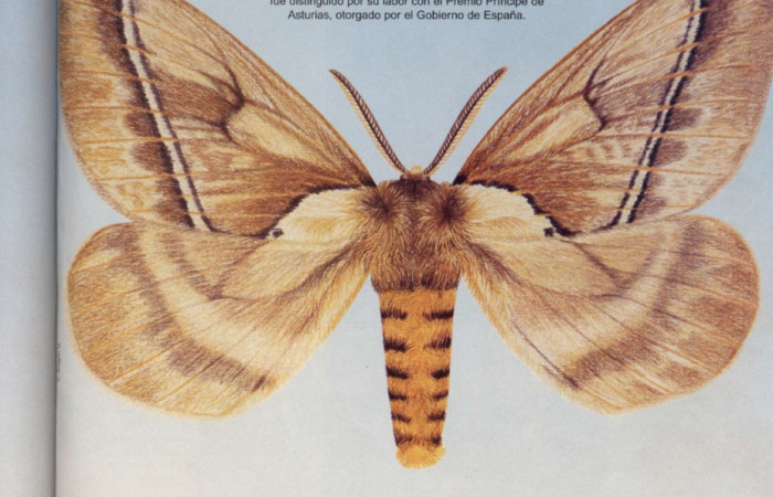 15 de setiembre 1996