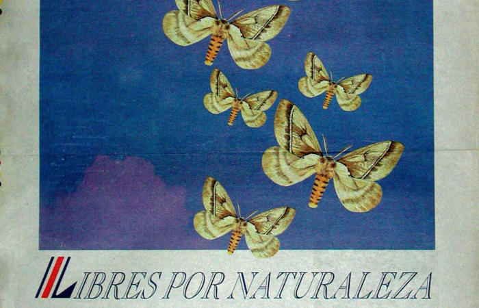 15 de setiembre 1996