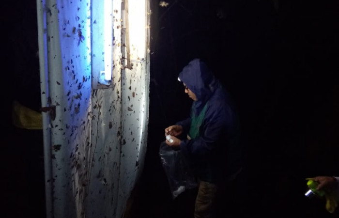 Figura 22. Manta con luces para atraer adultos de diferentes especies de Lepidoptera.  Foto, Harry Ramírez.