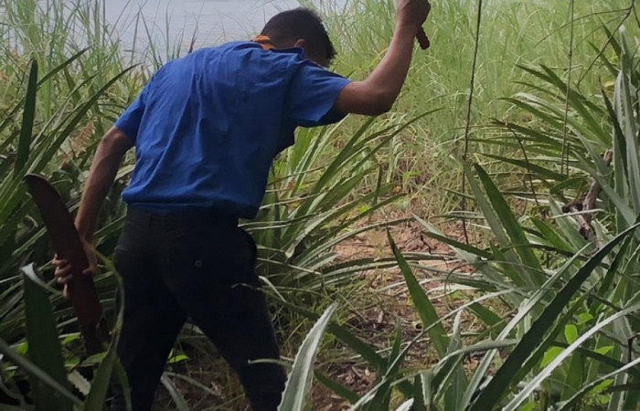 27 de octubre 2018, Fotografía: Christian José Zúñiga Gutiérrez