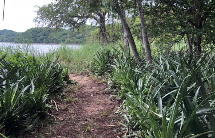 27 de octubre 2018, Fotografía: Christian José Zúñiga Gutiérrez