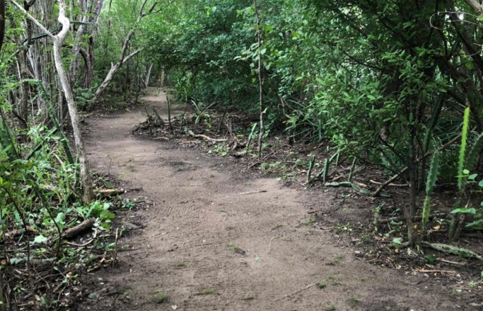 27 de octubre 2018, Fotografía: Christian José Zúñiga Gutiérrez